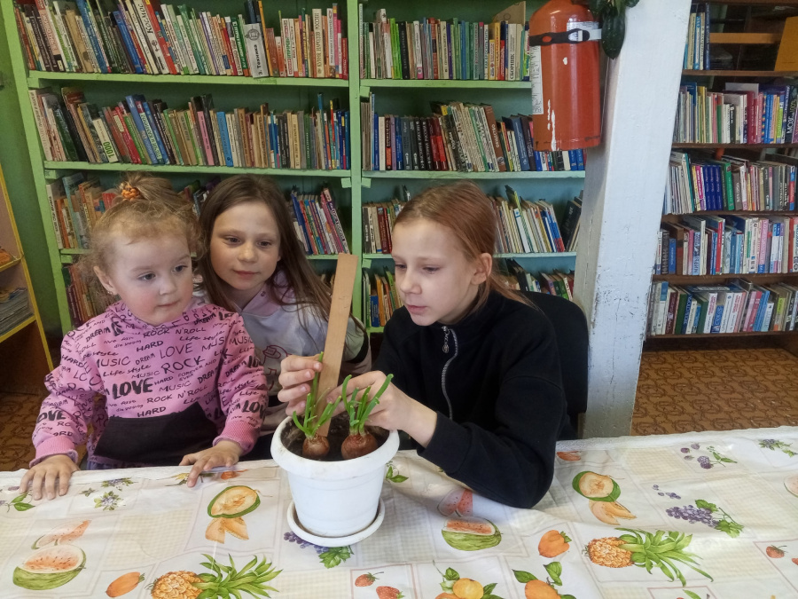 Экологический урок «Наш веселый огород» Экологический урок «Наш веселый огород»