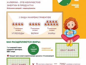 Здоровое питание