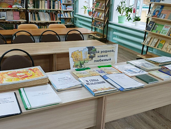 Выставка-экспозиция «Край родной, навек любимый»