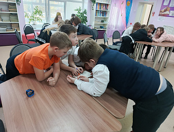 Игра-викторина «Природа ошибок не прощает»