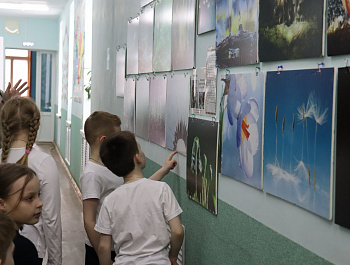 Фотовыставка "Взгляд в удивительный мир"