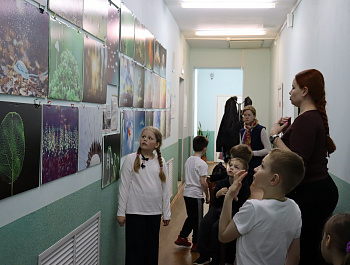 Фотовыставка "Взгляд в удивительный мир"