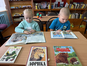 Экологическое развлечение «Наши верные друзья и соседи по планете»